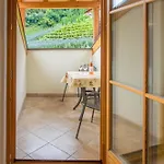 Weingut & Weitgruber Raffeis