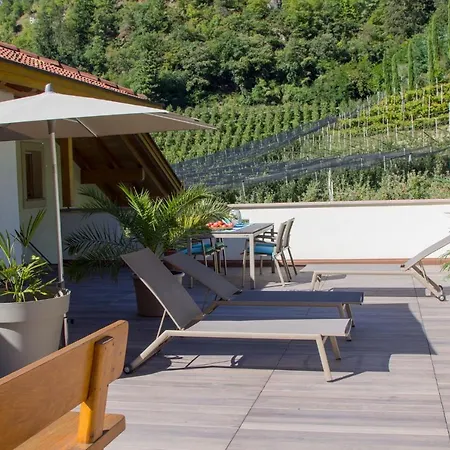 Weingut & Weitgruber Raffeis Apartment *